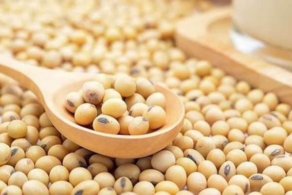 Đậu nành thực phẩm tăng chiều cao hiệu quả